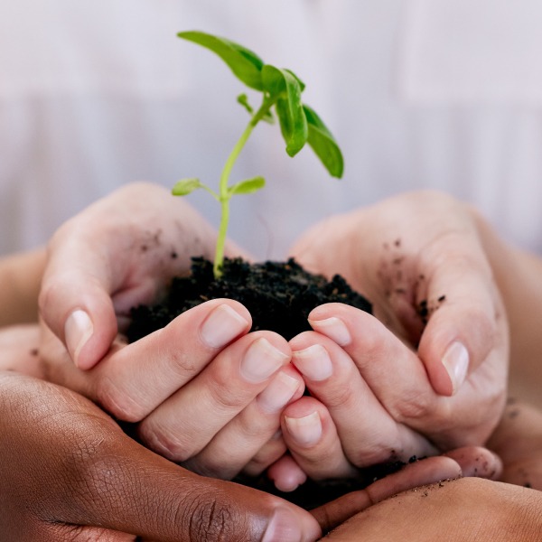 Design Cleaning Sustainability Challenge Solved by Culverdocs